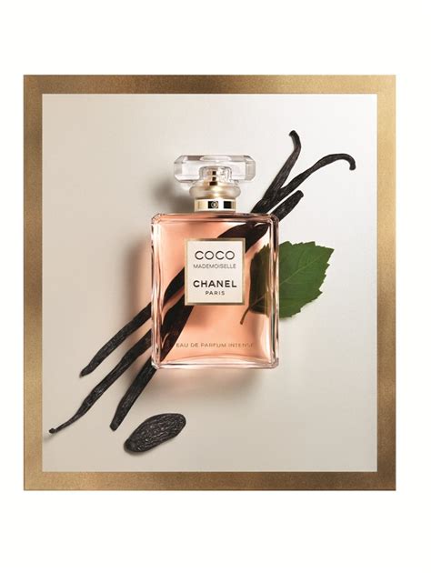 coco chanel mademoiselle nuty zapachowe|coco mademoiselle chanel cena.